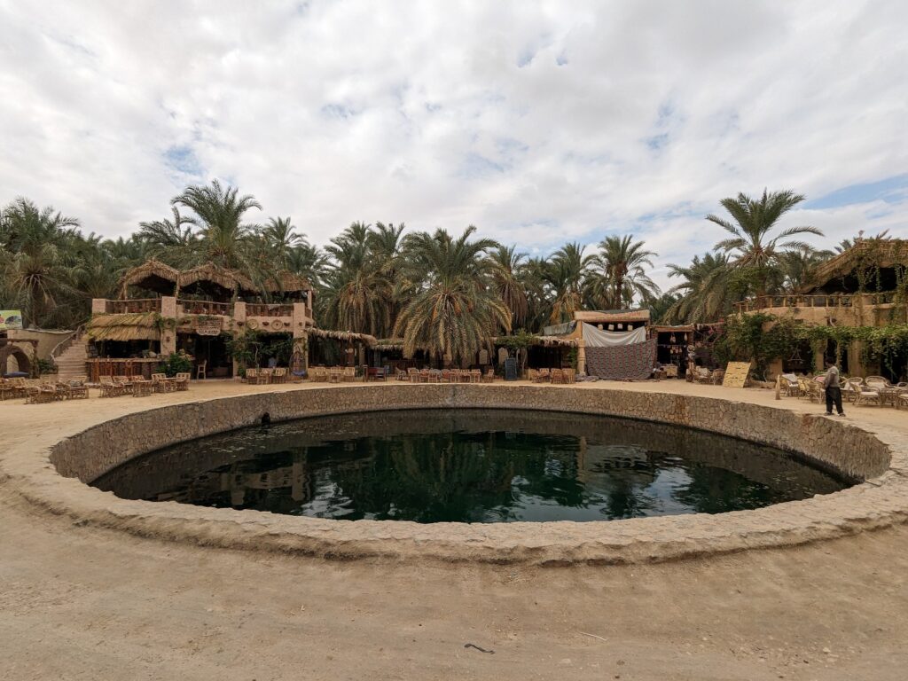 Cleopatra Spring Siwa things to do